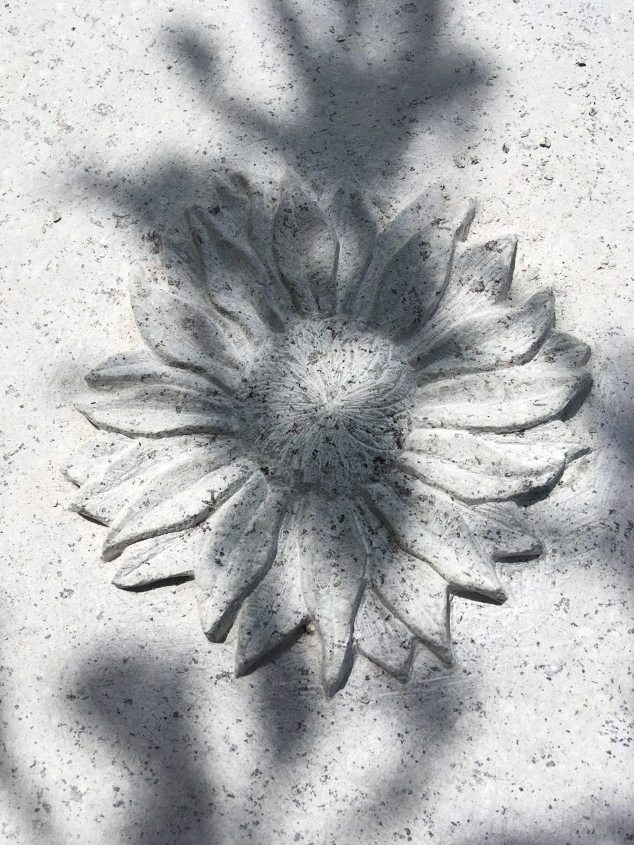 tournesol gravé